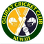 Gujrat CC Flag