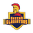 Deccan Gladiators Flag