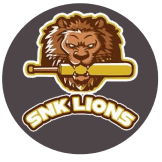 Team logo