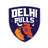 Delhi Bulls Flag