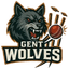 Gent Wolves Flag